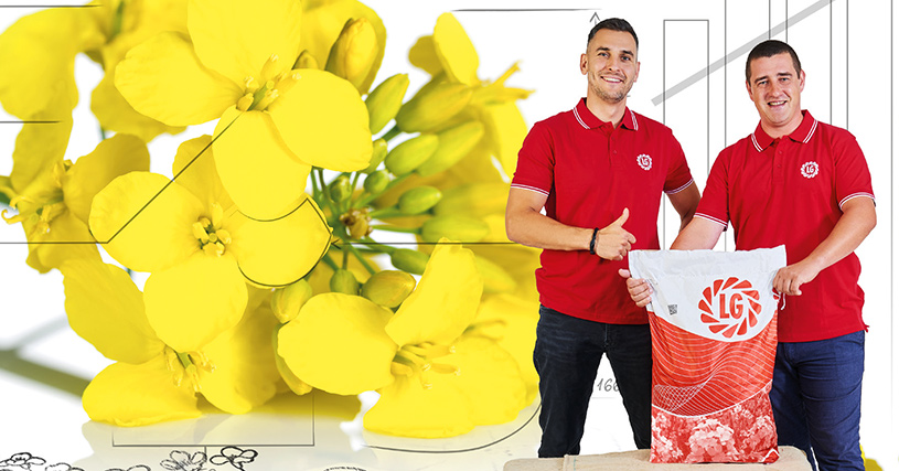 Rzepak ozimy LG ARCHITECT – nasiona do siewu odmiana LG ARCHITECT – opinie, norma wysiewu, na jakie gleby, cena i gdzie kupić | Limagrain